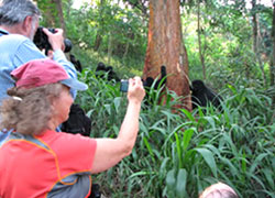 Gorilla Trekking Holidays