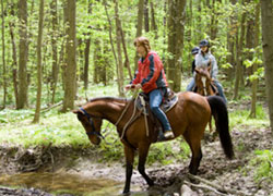 Horse Trekking Holidays