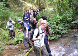 Jungle Trekking Holidays